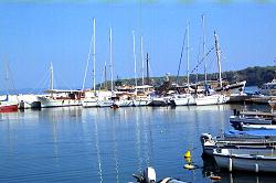 auf der Insel Susak