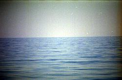 Delfine