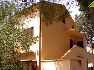 Appartement&nbsp;rusan1