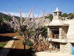 Appartement roberta3