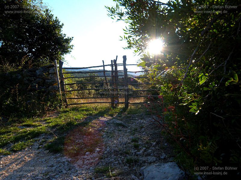 Wanderung zum Osorscica 2006