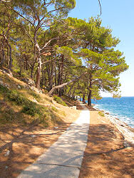 Wanderweg zwischen Veli Losinj und Mali Losinj zum Strand / Bucht Valdarke in Mali Losinj - Kroatien