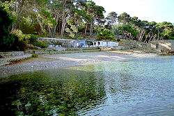 Strand in Rovenska, ein Ortsteil von Veli Losinj