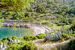 Strand in der Bucht Javorna in Veli Losinj - Uvala Javorna