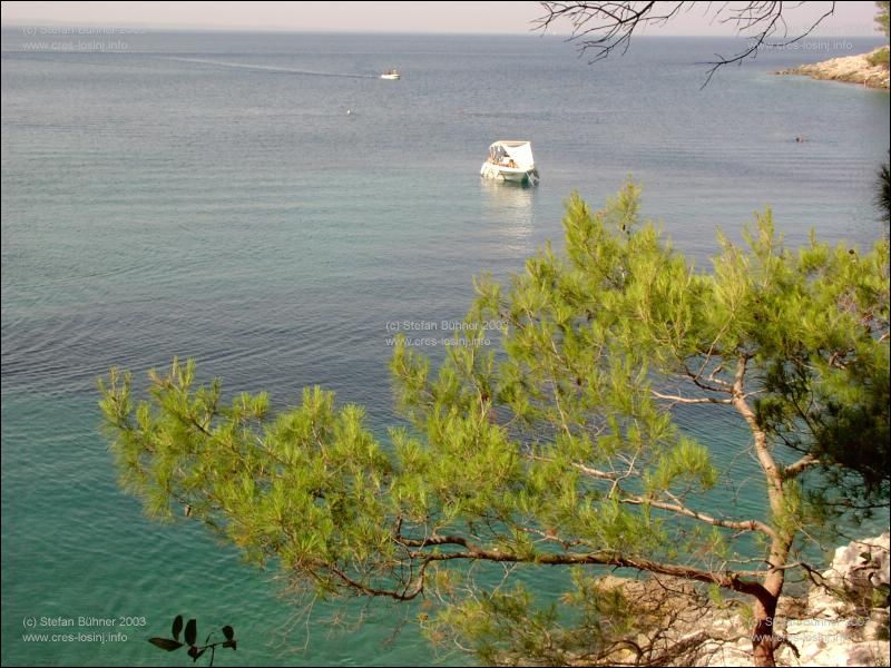 in der schwarzen Bucht zwischen Veli Losinj und Mali Losinj