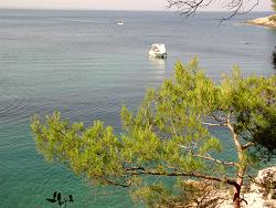 in der schwarzen Bucht zwischen Veli Losinj und Mali Losinj